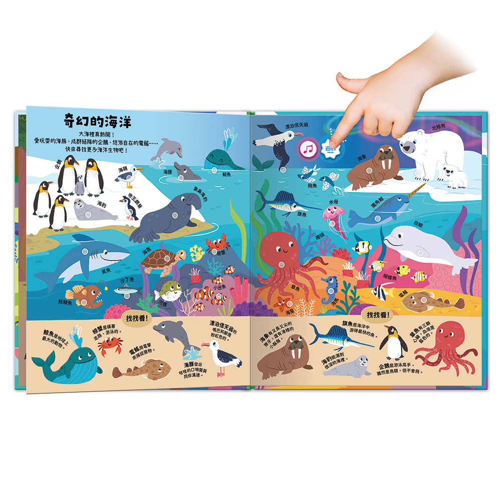 動物祕密基地 ┃小小探險家音效百科